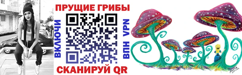 Псилоцибиновые грибы Psilocybine cubensis  blacksprut tor  Алзамай 